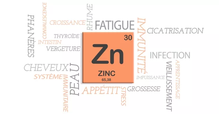 Le Zinc : une matrice nutritionnelle essentielle à notre santé