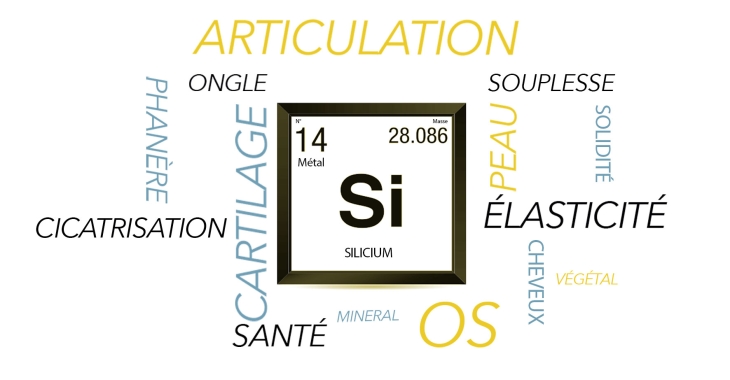 silicium