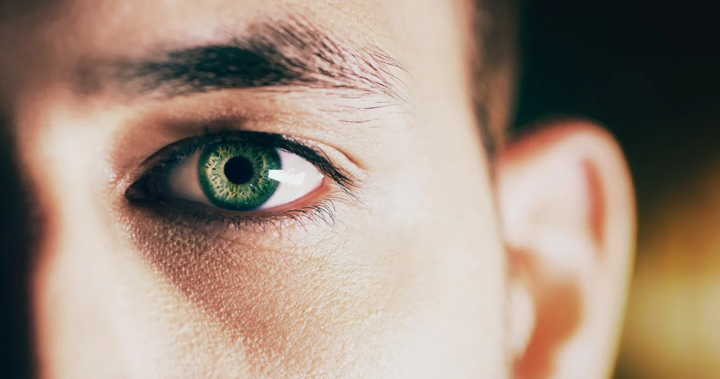 peau et vision