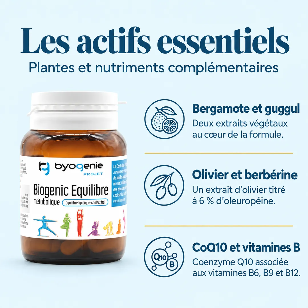 Équilibre Métabolique - Cholestérol